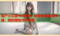 国产小忍者400视频：智能家居监控神器，随时随地守护家园