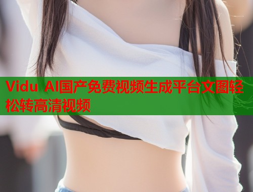 Vidu AI国产免费视频生成平台文图轻松转高清视频  第2张